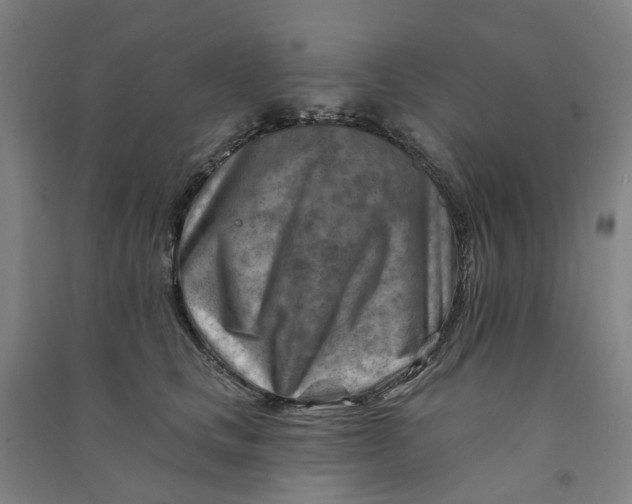 X0000090930661200708201829