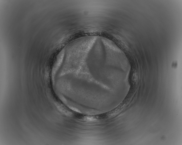 X0000090930662200708201829