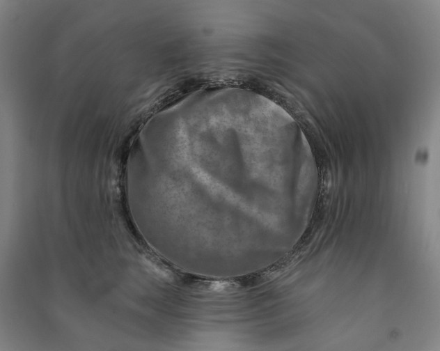 X0000090930663200708201829