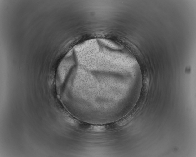 X0000090930665200708201829