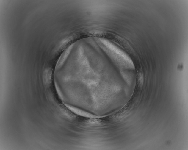 X0000090930668200708201829