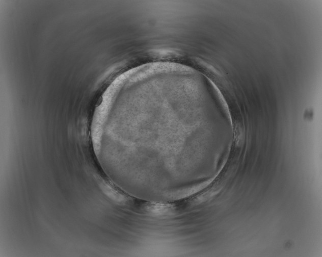 X0000090930670200708201829