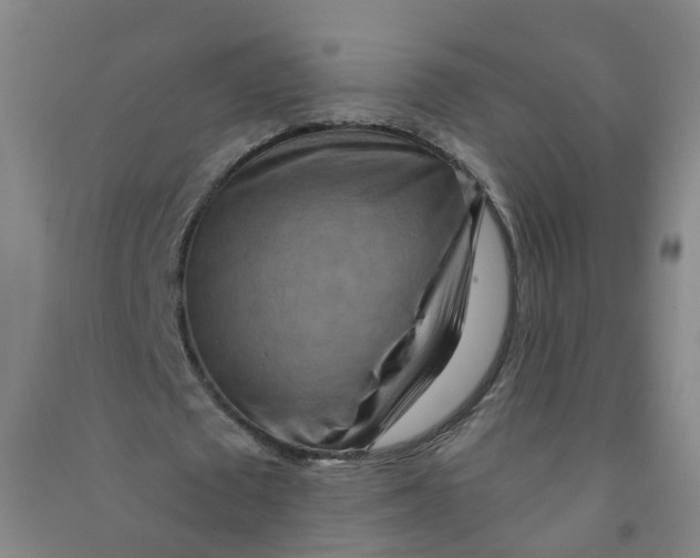 X0000090930673200708201829