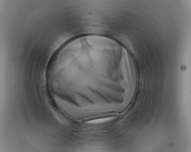 X0000090930674200708201829