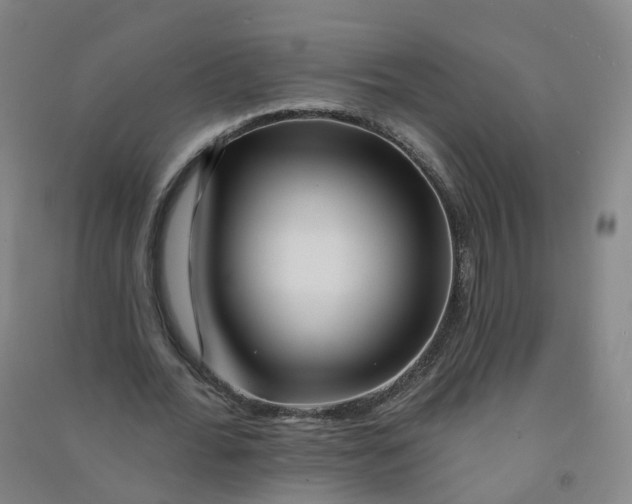 X0000090930676200708201828