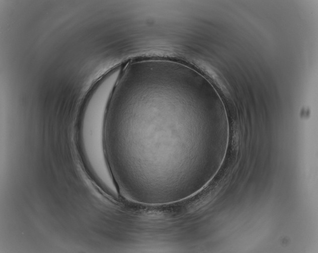 X0000090930677200708201828