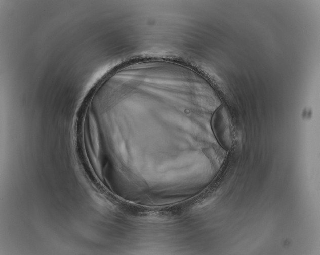 X0000090930678200708201828