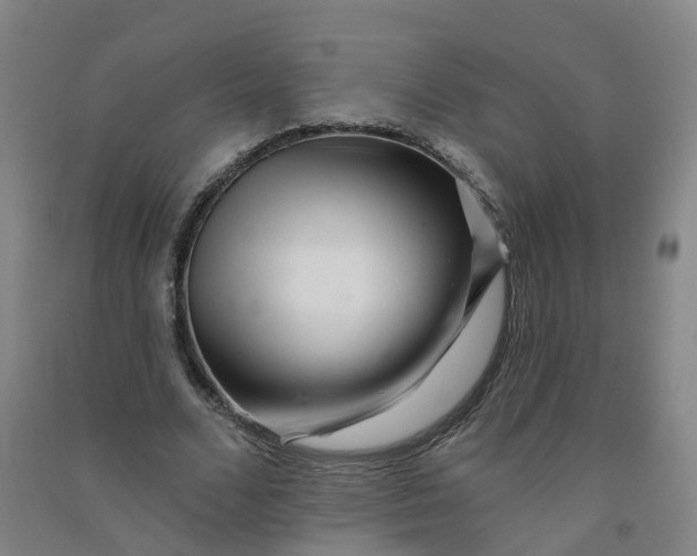 X0000090930680200708201828