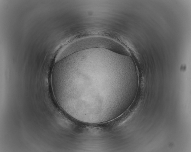 X0000090930681200708201828