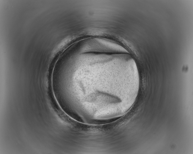 X0000090930682200708201828