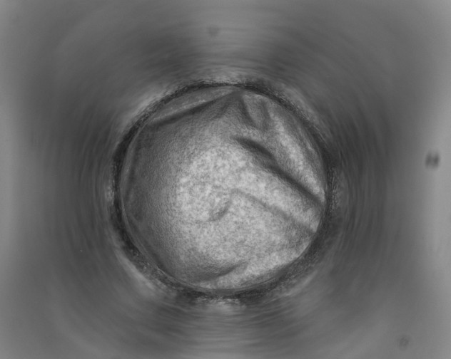 X0000090930683200708201828