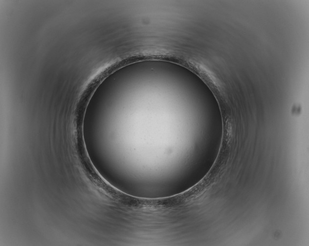 X0000090930684200708201828