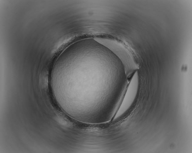 X0000090930685200708201828