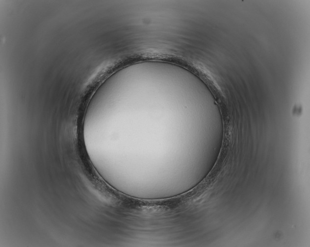 X0000090930686200708201828