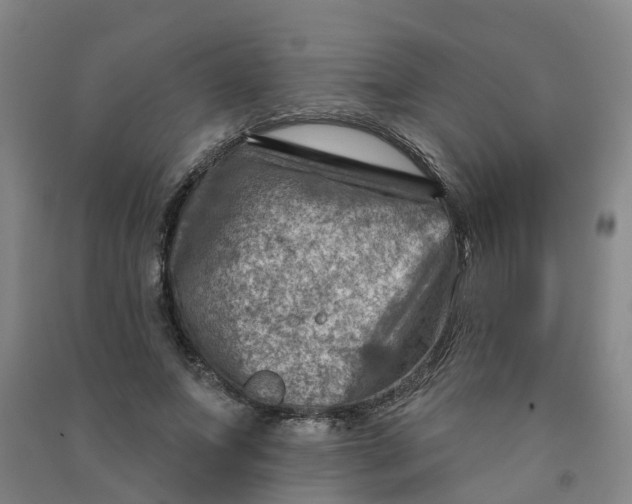 X0000090930687200708201828