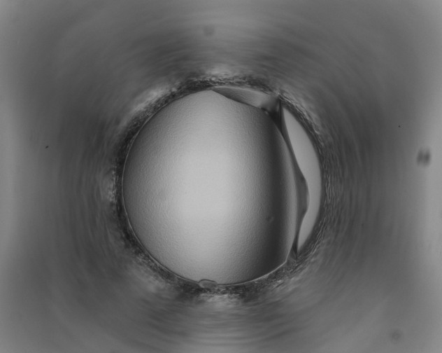 X0000090930689200708201828