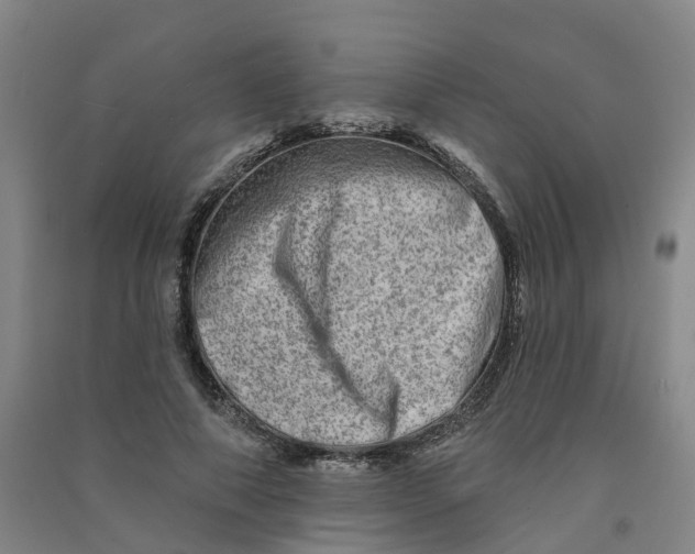 X0000090930690200708201828