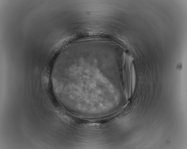 X0000090930691200708201828