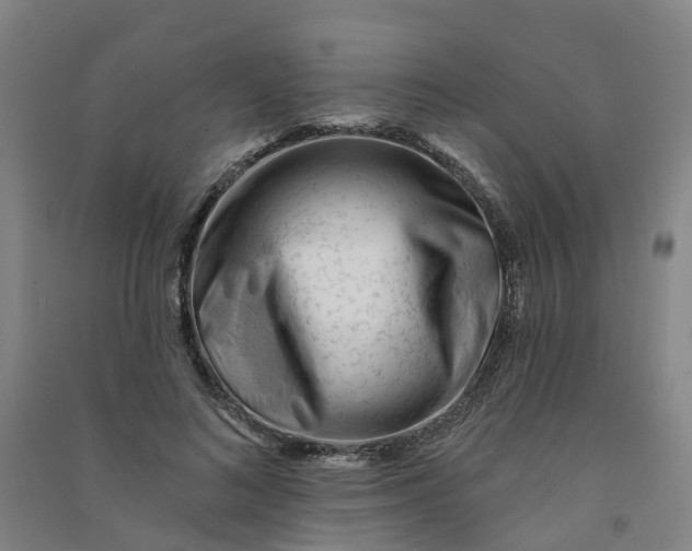 X0000090930692200708201828