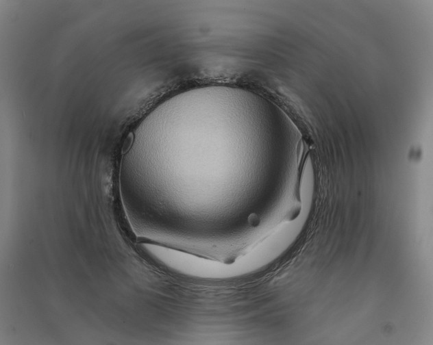 X0000090930693200708201828