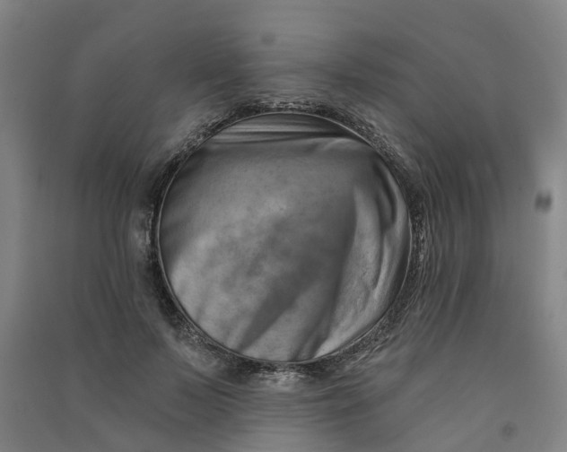 X0000090930695200708201828