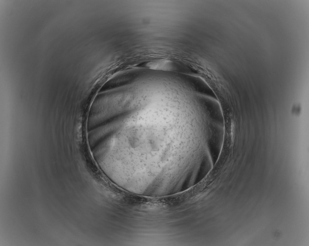 X0000090930696200708201828