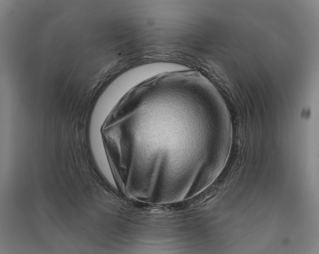 X0000090930697200708201828