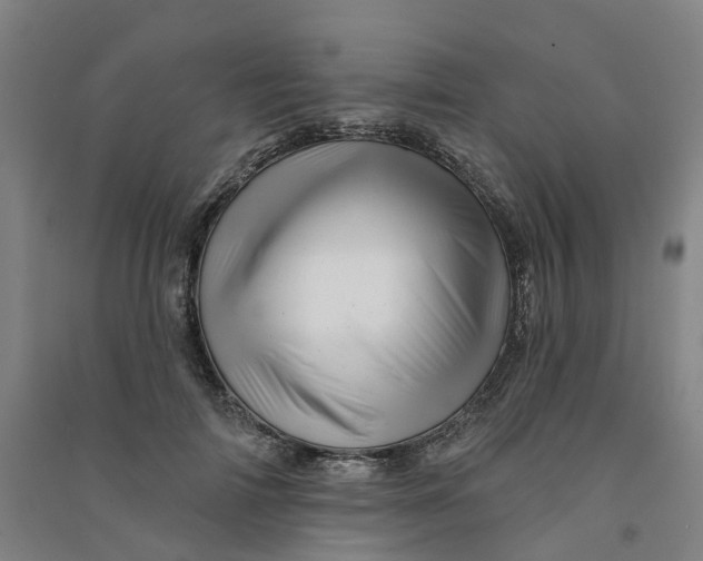 X0000090930698200708201828