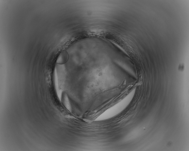 X0000090930699200708201828