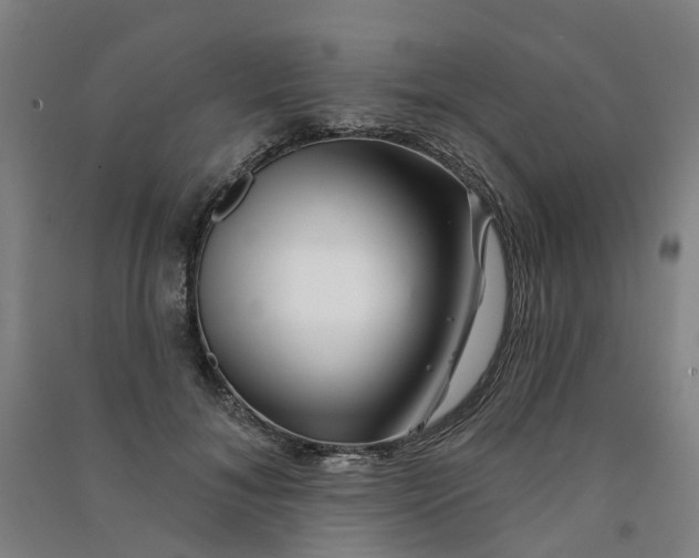 X0000090930700200708201828