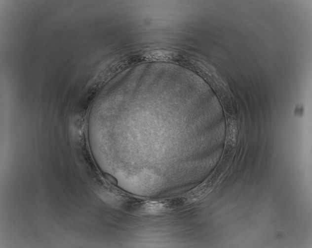 X0000090930701200708201828