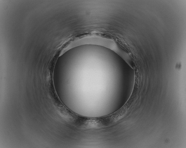 X0000090930704200708201828