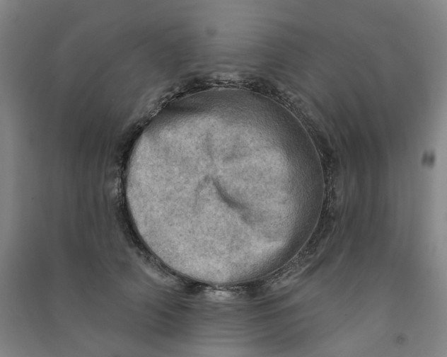 X0000090930706200708201828