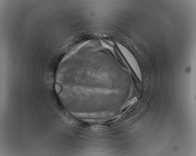 X0000090930707200708201828