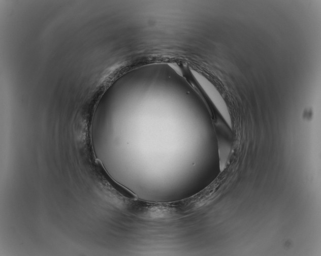 X0000090930708200708201828