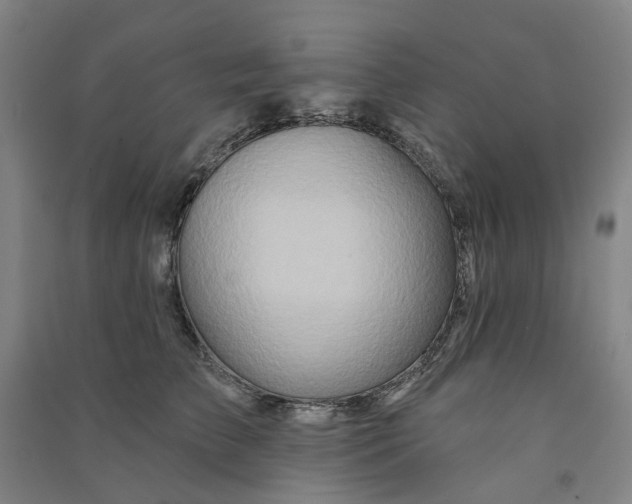 X0000090930709200708201828