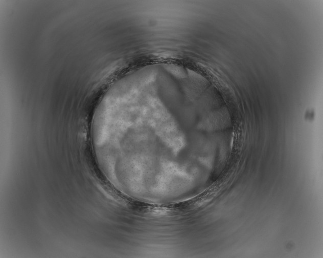 X0000090930710200708201828