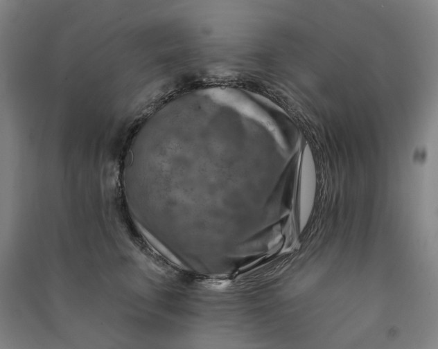 X0000090930711200708201828