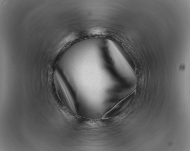 X0000090930712200708201828