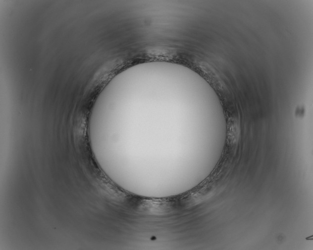 X0000090930713200708201828