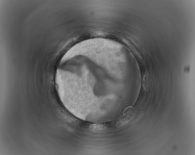 X0000090930714200708201828