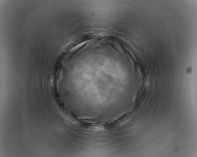 X0000090930715200708201828