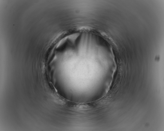 X0000090930716200708201828