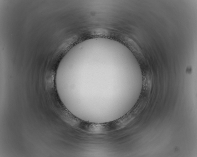 X0000090930717200708201828