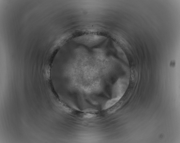 X0000090930718200708201828