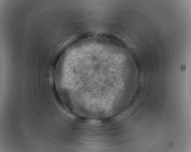 X0000090930719200708201828