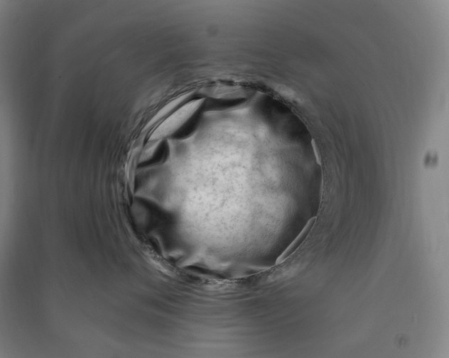 X0000090930720200708201828