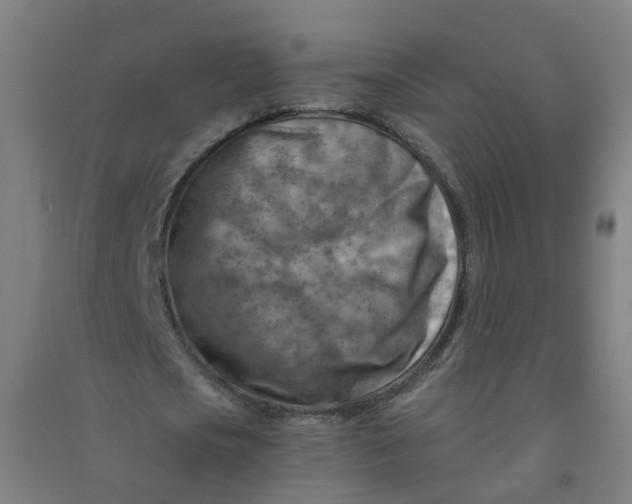 X0000090930721200708201827