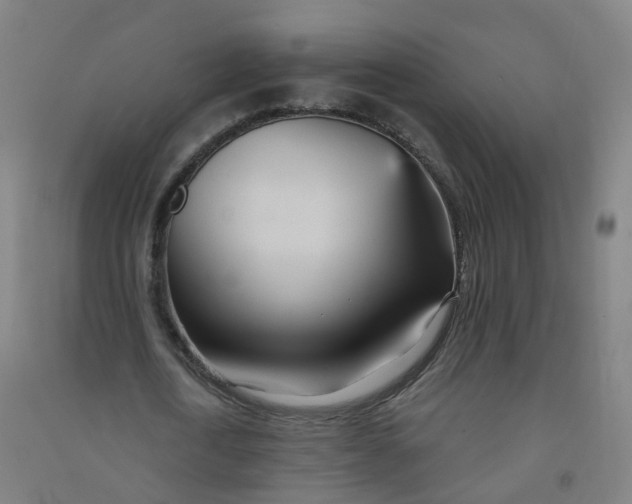 X0000090930722200708201827