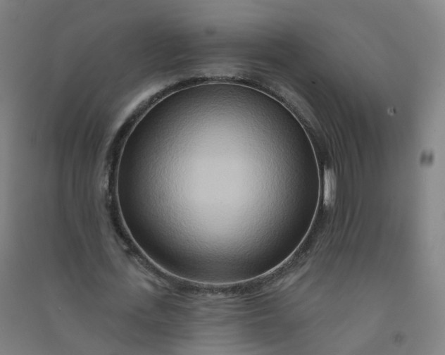 X0000090930723200708201827